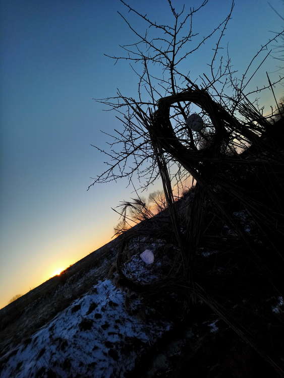 I-nature